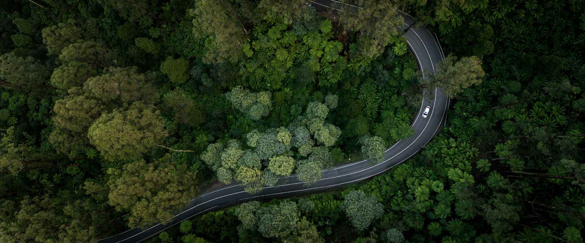 Decarbonizzare il trasporto stradale con le tecnologie a idrogeno