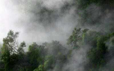 Strategies to make Italy a hydrogen hub
