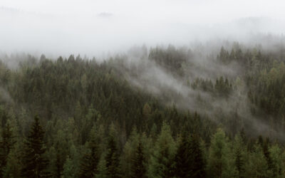 What Carbon Neutrality means for industries and how to achieve it
