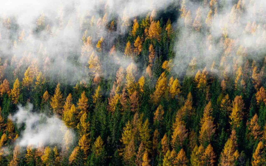 Hydrogen and steel: decarbonising the steel industry