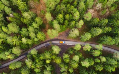 Technological solutions and challenges for hydrogen storage