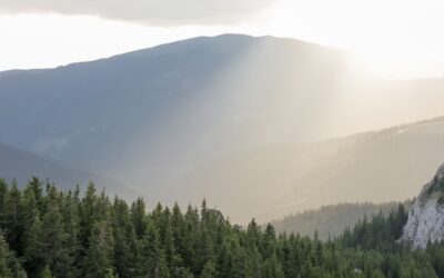 Simplifhy and the collaboration with Axpo in green hydrogen projects